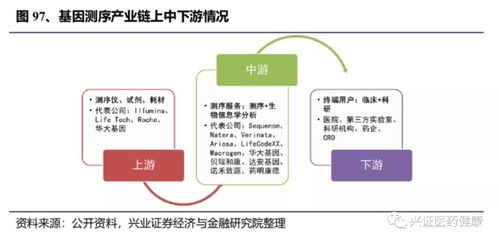 国产医疗器械替代进口 化学发光与生化领域的突围路径全析